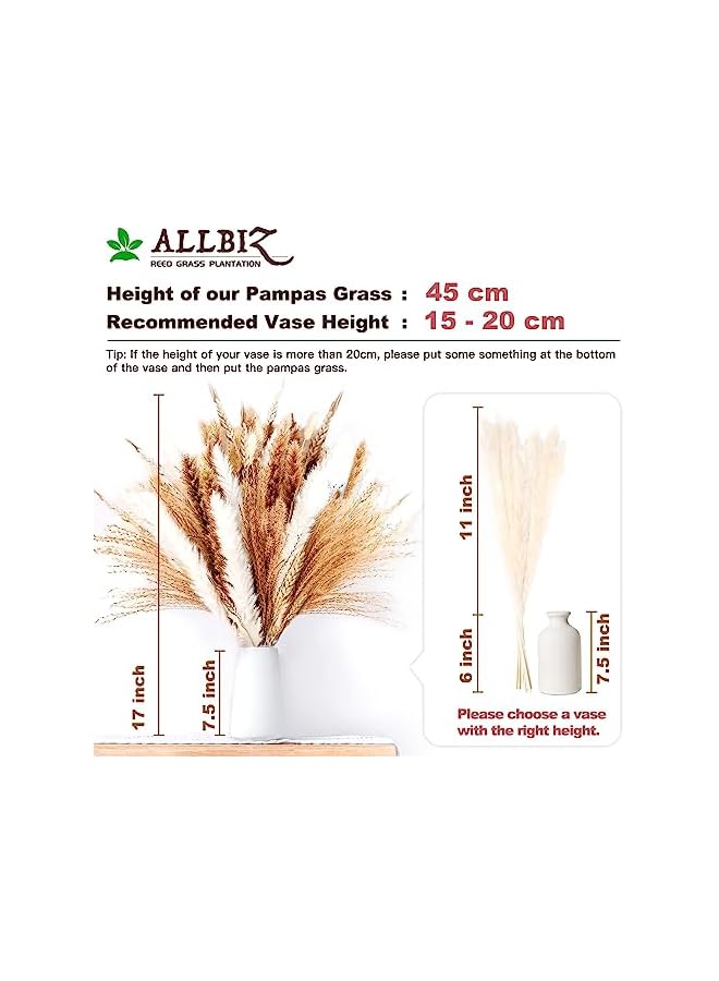 The Bros 105Pcs Natural Pampas Grass Decor, 17in/45cm Dried Flowers for Decoration, Artificial Flower Bouquet for Home Boho Table Decor Accessories, Bohemian Decoration Items for Living Room, Wedding - Image 2