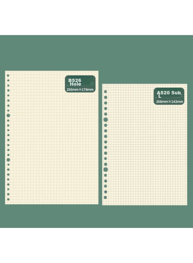Tango B5 Loose-leaf Refill Paper Grid Style, For Postgraduate Exam Review Error Correction Record Grid Journal Process Chart, Universal 26-hole Detachable Universal Replacement Refill, 60 Sheets - Image 4