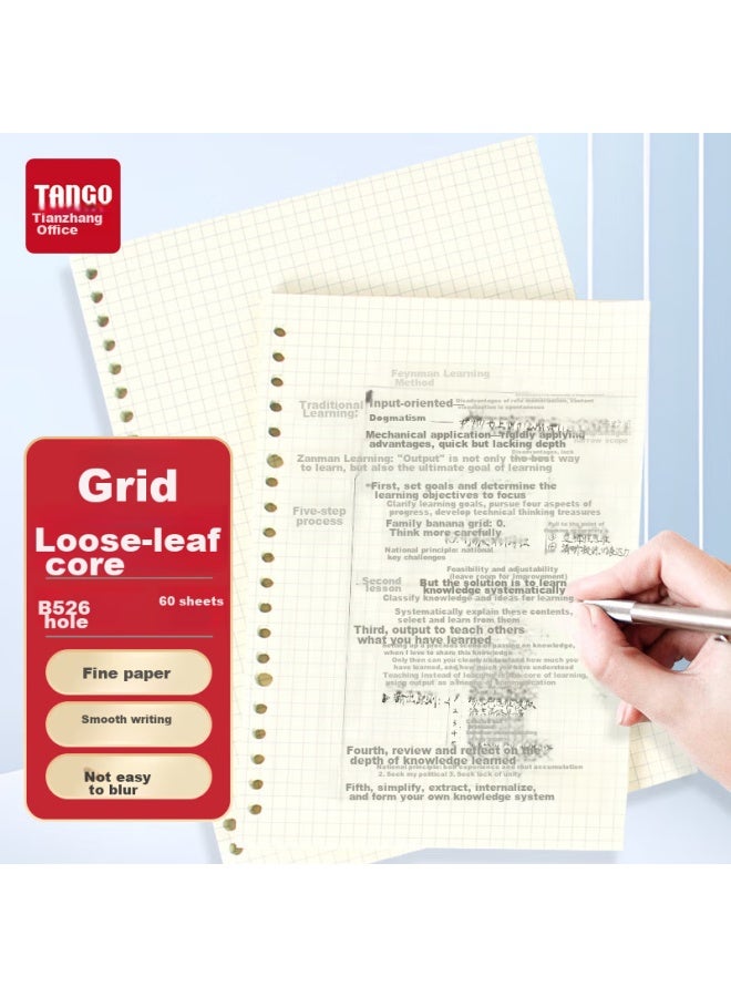 Tango B5 Loose-leaf Refill Paper Grid Style, For Postgraduate Exam Review Error Correction Record Grid Journal Process Chart, Universal 26-hole Detachable Universal Replacement Refill, 60 Sheets - Image 1