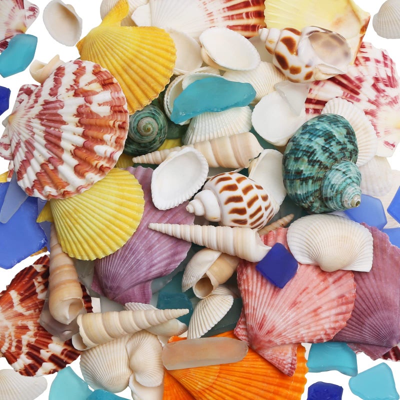 LUCKY BABY Sea Shells Mixed with Sea Glass 7 Ounces for Crafts Natural Scallop Seashells for Decorating Seaglass Decor for Fish Tank Vase Fillers Home Deco Beach Themed Party Wedding