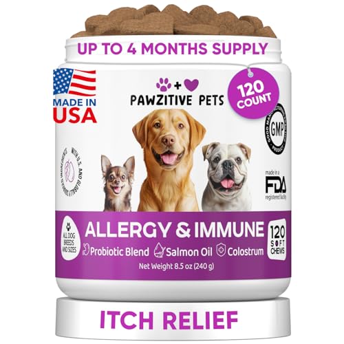 Pawzitive Pets Dog Allergy Relief Chews for Itchy Skin - Seasonal and Food Allergy Chews for Shedding, Licking Paws, Hot Spot, Ears - USA Product - Omega 3 Fish Oil Skin & Coat Supplement - Anti Itch Immune Treats - Image 1
