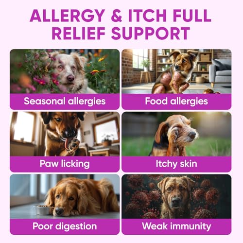 Pawzitive Pets Dog Allergy Relief Chews for Itchy Skin - Seasonal and Food Allergy Chews for Shedding, Licking Paws, Hot Spot, Ears - USA Product - Omega 3 Fish Oil Skin & Coat Supplement - Anti Itch Immune Treats - Image 2