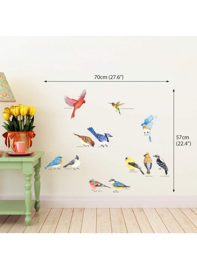 ديكو وال Ds28042 ملصقات جدار الطيور الصغيرة ملصقات الحائط القابلة للتقشير والعصا ملصقات الحائط القابلة للإزالة للأطفال وغرفة نوم الأطفال وغرفة المعيشة (صغير) - Image 5
