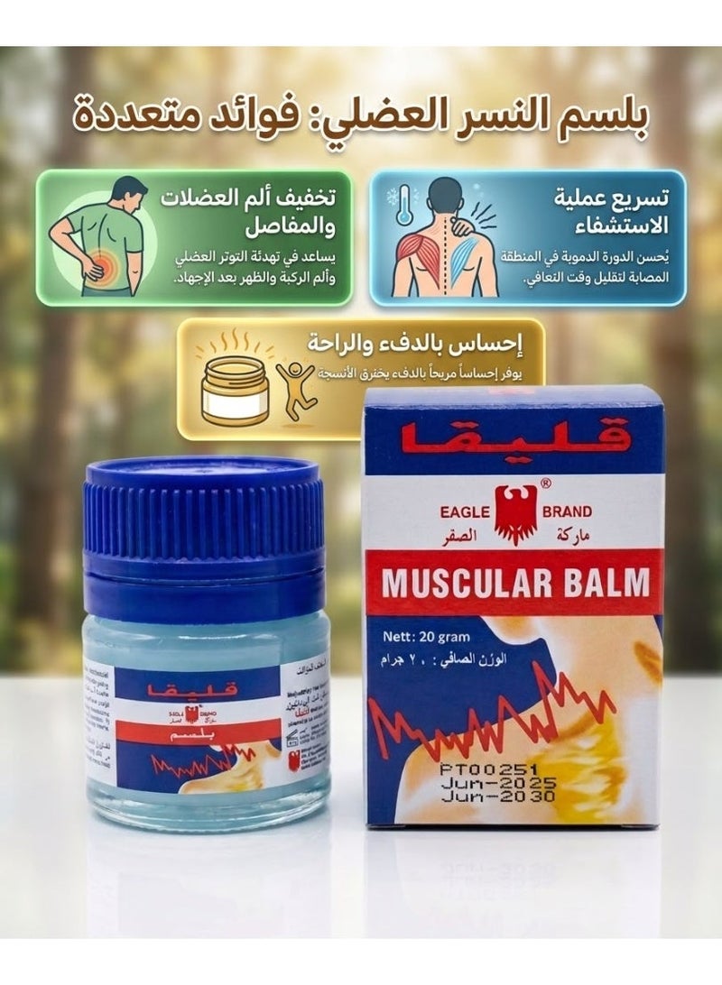 إيجيل 4  قطع  من قليقا بلسم لألام العضلات والمفاصل - 20 جرام - Image 2