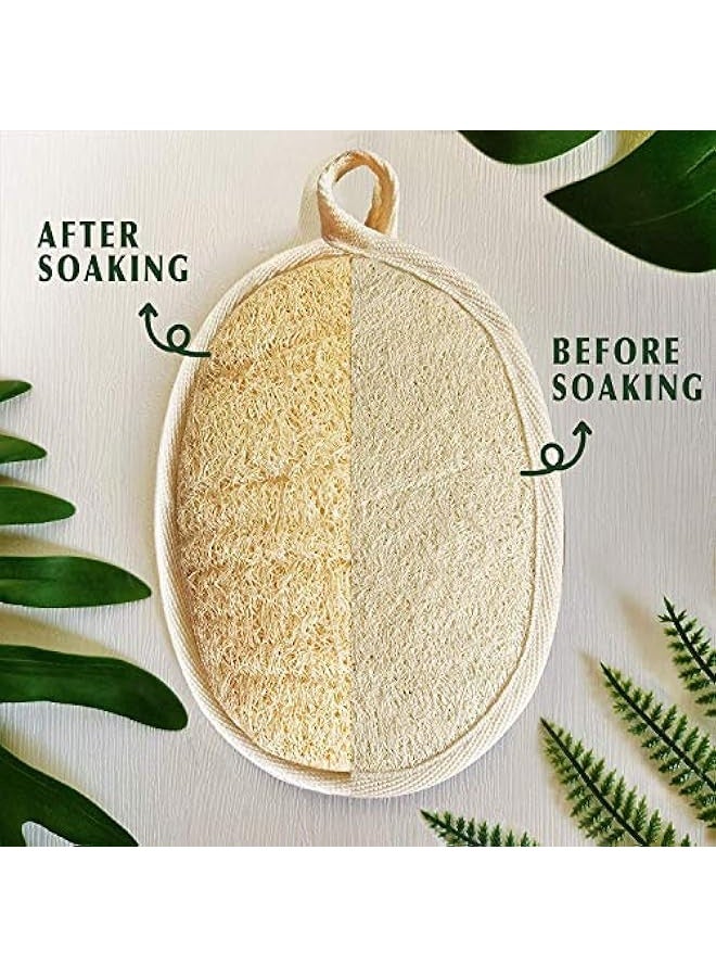 AMZSTRU Loofah Sponge Exfoliating Body Scrubber, Made with Natural Eco-Friendly and Biodegradable 4Pcs Shower Luffa for Clean and Vibrant Facial Skin Loofah Sponges with Soap - Image 3