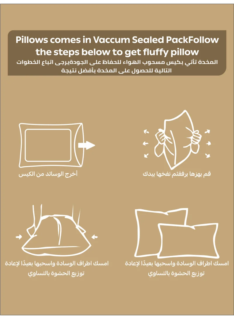 Donetella Pillow 1000 Gram Striped Pattern Size 50X75 cm-Pack Of 2 - Soft Brushed Microfiber Top- Luxury Down Alternative Filling,  Anti Allergy Bed Pillows, White (وسادة)
