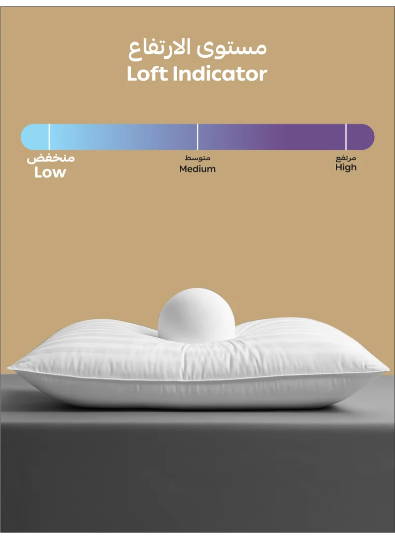 Donetella Pillow 1000 Gram Striped Pattern Size 50X75 cm-Pack Of 2 - Soft Brushed Microfiber Top- Luxury Down Alternative Filling,  Anti Allergy Bed Pillows, White (وسادة)