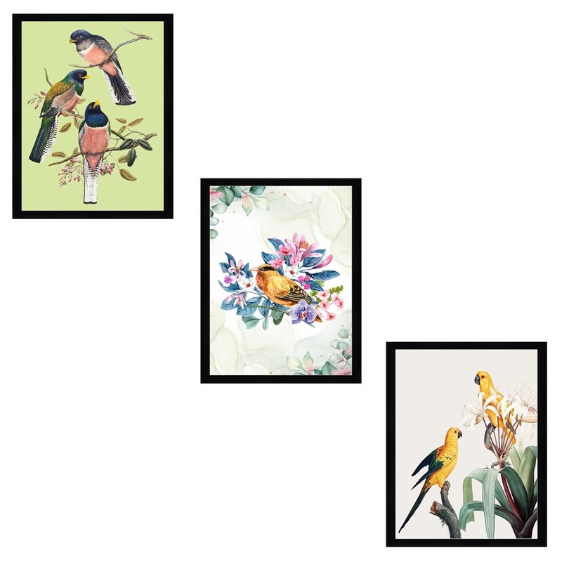 Indianara Birds Wall Art Prints Set of 3 Black Frames Abstract Modern Art for Kids Room 33 cm x 254 cm Each With Frame Pack of 3 Style 1