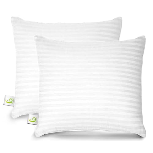 DAKSH Set of 2, 20 x 20 Inch Microfiber Filled Cushion Filler, Soft & Fluffy - Premium Hotel Quality Cushions - Sofa Cushions, Bed, Office, Cushion Pillow, Throw Pillow Insert - Diwali Gifts - White - Image 1
