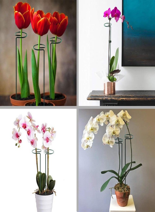 HiGift Plant Support Stakes, 5 Pack Garden Flower Support Metal Single Stem Support Stick with 10pcs Plant Clips Plant Cage Support Ring for Flowers Amaryllis Lily Peony (40 cm/15.8 inch Long) - Image 3
