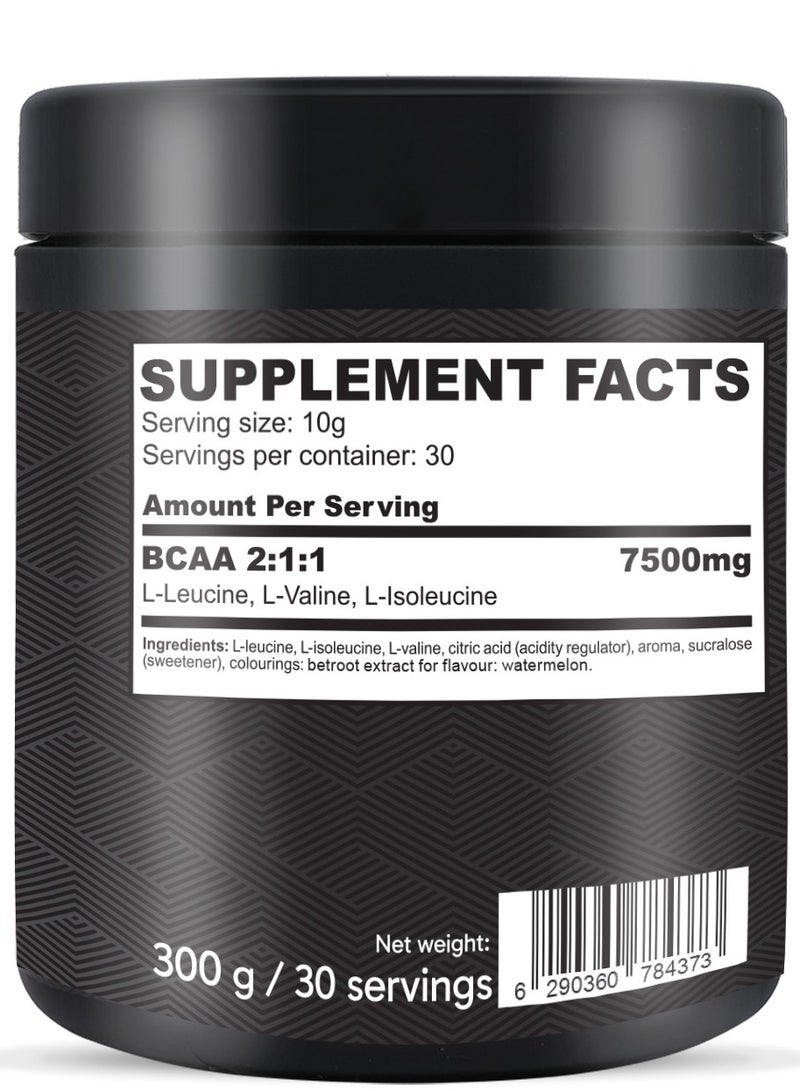 AID PLUS BCAA 2:1:1 Watermelon, 300g | 10g BCAAs per Serving | Muscle Recovery & Hydration | Electrolytes & Amino Acids | Protein Supplement - Image 2