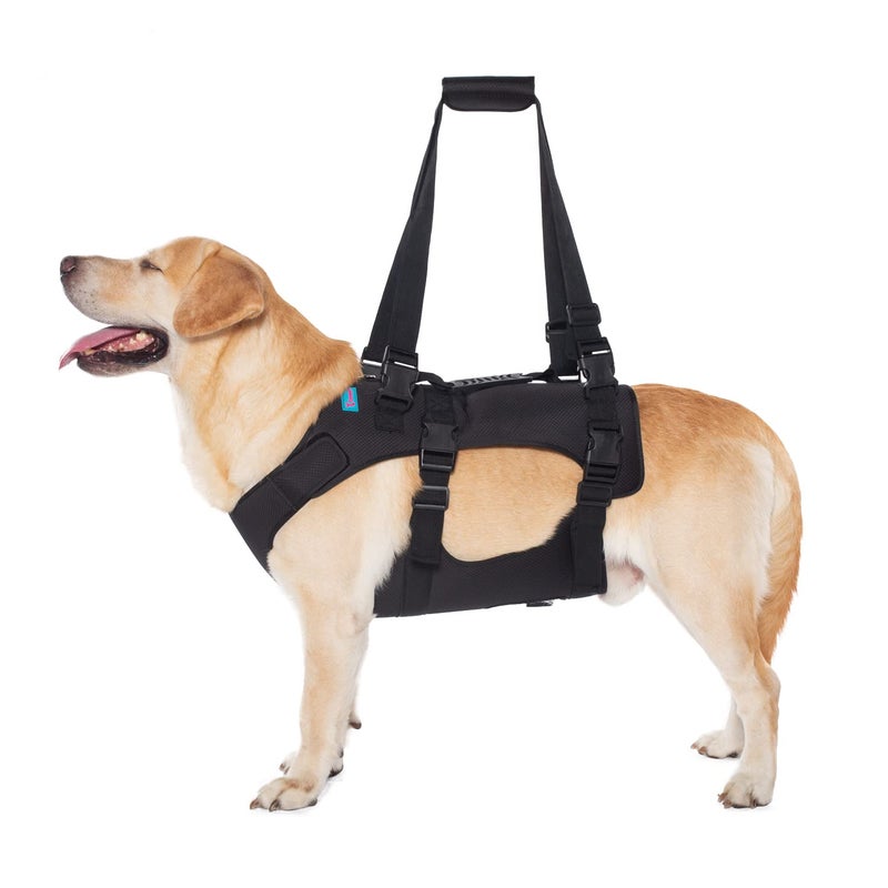Yrenoer Dog Lift Harness Rehabilitation Lifts Vest for Dogs Support Recovery Sling Adjustable Breathable Lifting Straps for Old Joint Injuries Arthritis Paralysis Dogs Walk XL Black - Image 2