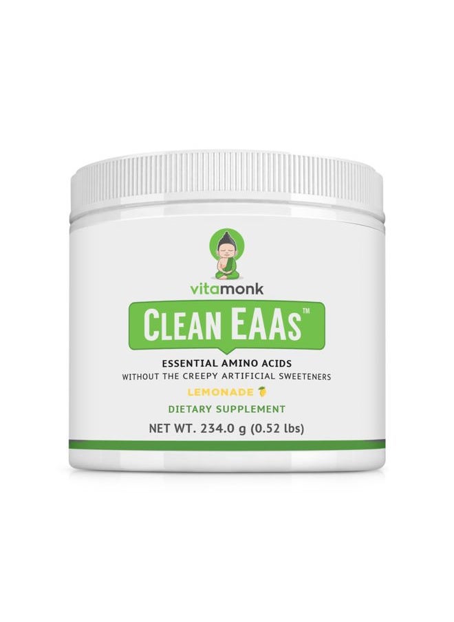 VitaMonk - Clean EAA - EAAs with No Artificial Sweeteners for Pre-Workout, Energy and Recovery - Max Bioavailable EAA Powder with 9 Essential Amino Acids - Natural Lemonade Flavor - Image 1