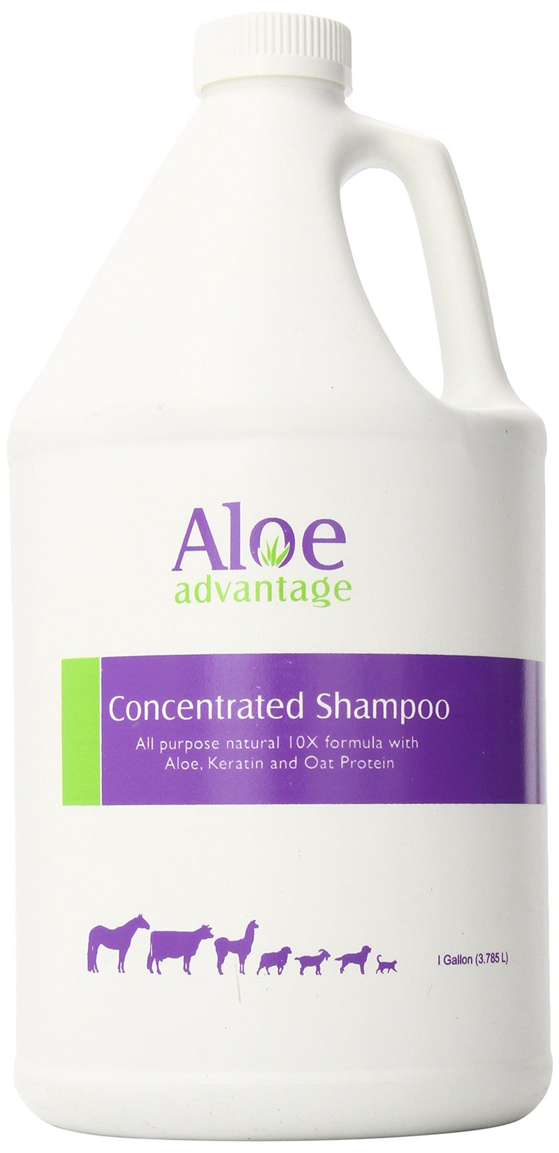 Aloe Advantage Aloe Concentrated Shampoo 1 Gallon - Image 1