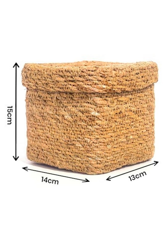 DENOVA Seagrass Tissue Box Holder, Handcrafted Tissue Container for 100 Pulls Paper Towel Dispenser for Office Living Bedroom Car Desk Dining Table Home Decor Organizer (Seagrass) - Image 2