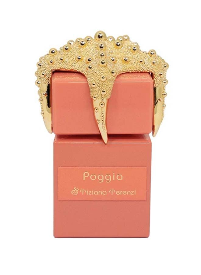 Tiziana Terenzi Poggia Extrait De Parfum 100Ml - Image 2