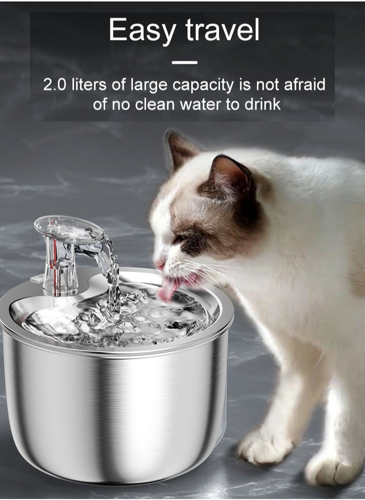 LAPET Stainless Steel Pet Water Fountain 2L Automatic Cat Water Dispenser Pet Drinking Fountain Auto Drinker Dispenser  - Image 4