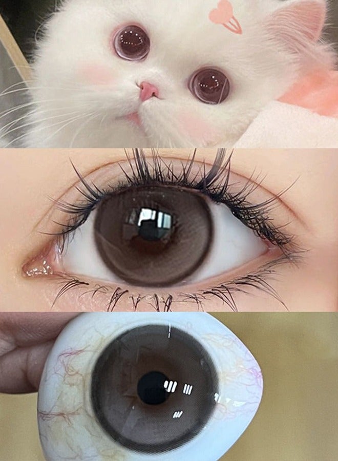Mill creek color contact lenses 14.5MM hydrogel lenses can be used for 12 months 1 pair of 2 brown glasses