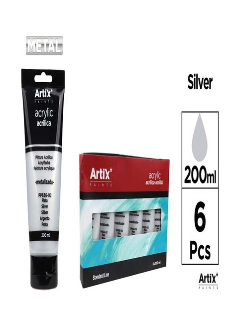 Acrylic Paint Set - 6 x 200 ml- SILVER