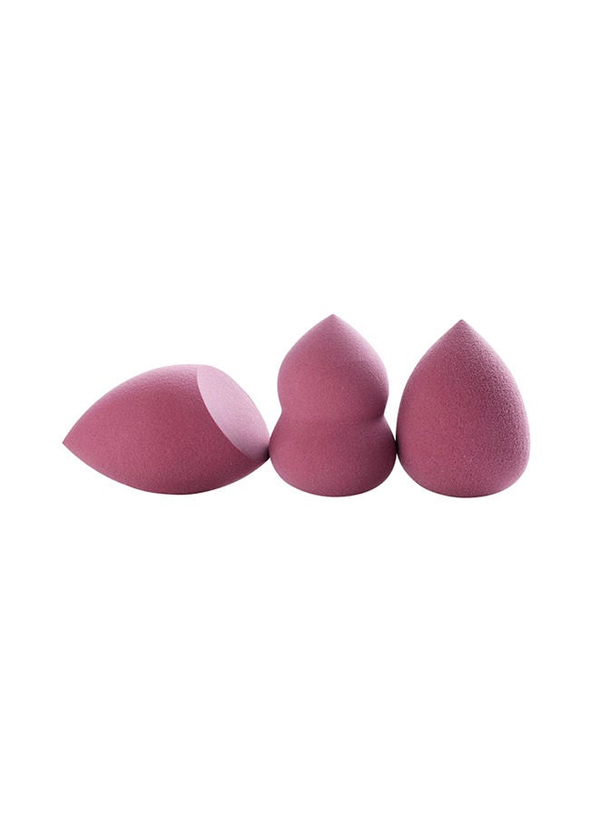 NIBEMINENT 3-Piece Cosmetic Sponge Dry Set Brown