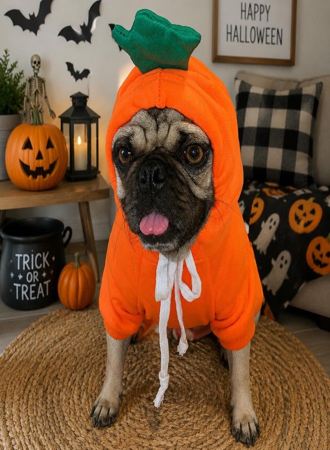 Wiz BBQT Dog Christmas Halloween Costumes,Dog Hoodies for Small Dogs Cats, Cat Puppy Outfits,Yorkie Chihuahua Pomeranian Clothes (Medium, Orange-Carrot) - Image 3