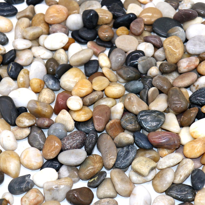 Premium Pebbles Rocks for Plants. Mixed Color Polished Decorative Pebbles. 0.5 to 1 Inch 18 lbs. for Garden, Landscaping, Indoor, Vase fillers, Crafting, Succulents, pots, Plants - Image 1