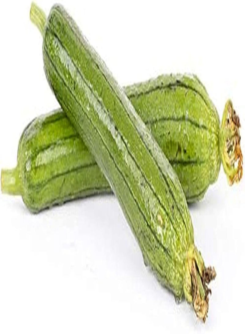 GGOOT 20Pcs Loofah Seeds Green Slender Loofah Annual Heirloom Seed Vegetables Harvest Every Year Garden Terrace Patio Planting - Image 2