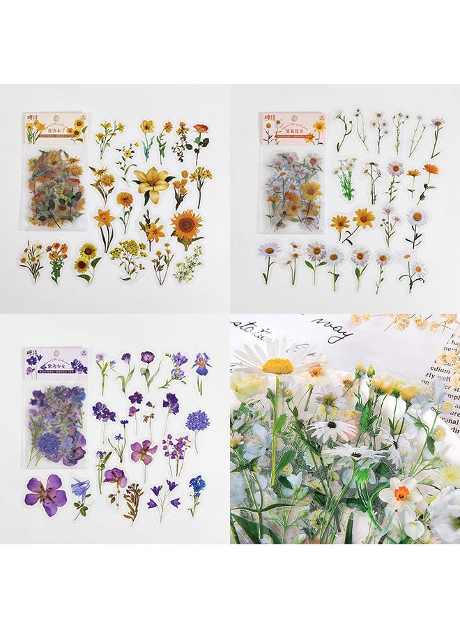 Depend Vintage Plants Stickers, PET Transparent Decoration Stickers for Scrapbook or Laptops, 3 Styles, 120pcs - Image 1