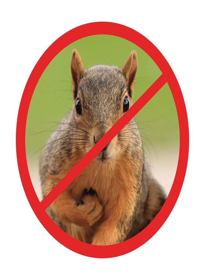 Slinky Just Play Scram, Squirrel by Slinky, Squirrel-Proof Bird Feeder Accessory That Guards Bird Seed - Image 4
