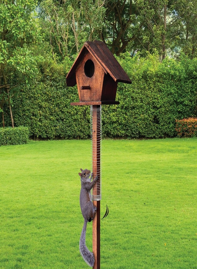 Slinky Just Play Scram, Squirrel by Slinky, Squirrel-Proof Bird Feeder Accessory That Guards Bird Seed - Image 3