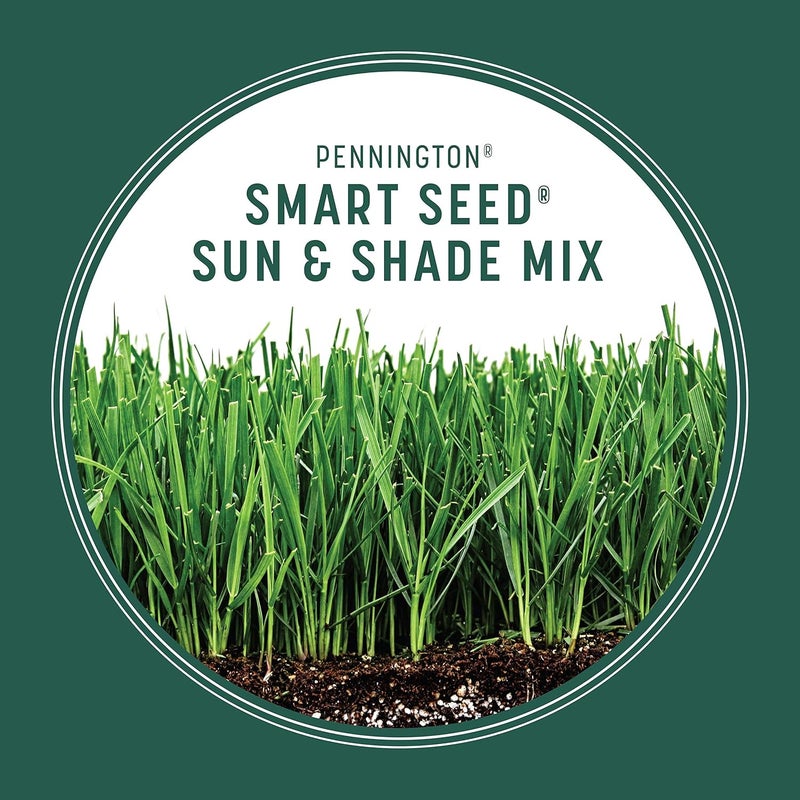 Pennington 100543718 Smart Seed Sun and Shade Grass Mix 3 lb, Black Label - Image 5