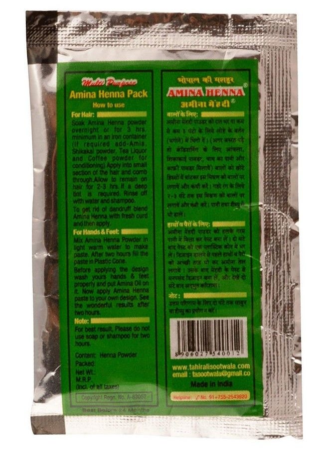 Amina - Natural Organic Mehendi/Green Henna Mehndi For Skin Hand And Hair 5 Gram Per Pack (Pack Of 100) - Image 1