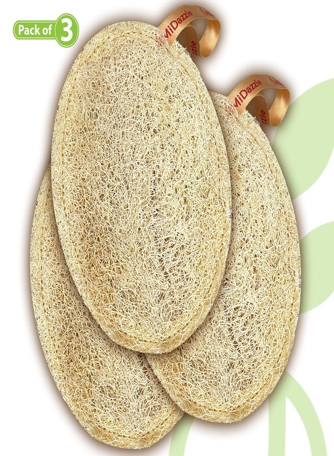 Omidazzle Midazzle 100% Natural Body Scrubber Loofah for Bathing (Oval) (Pack of 3) - Image 2