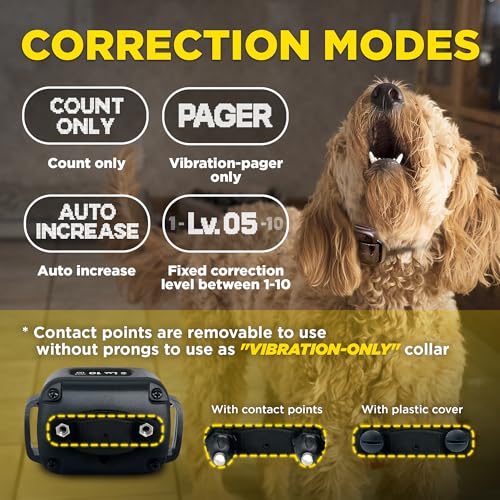 Dogtra Smart NOBARK Detects Whining and Barking, 33 ft Range App for Notifications, E-Collar, Behavior Report, Waterproof IPX9K, Compact Size for 10 lb Dogs, Triple Detection Accuracy - Image 5