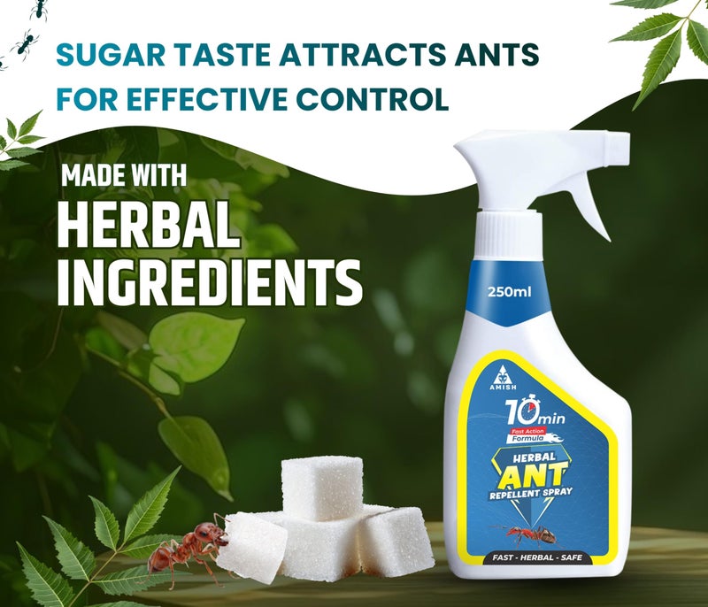 Amish Ant Repellent Spray 250ml Pack of 2 for Home & Kitchen | Herbal Organic Indoor Outdoor | Pet Safe, Safe for Dogs | Eco Friendly Remover for Home, Plants | 10 Minutes Formula| Repellent Spray - Image 2