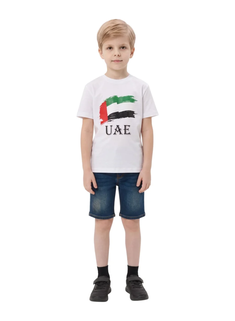 Bidani Boys' UAE Distressed Flag Graphic T-Shirt
