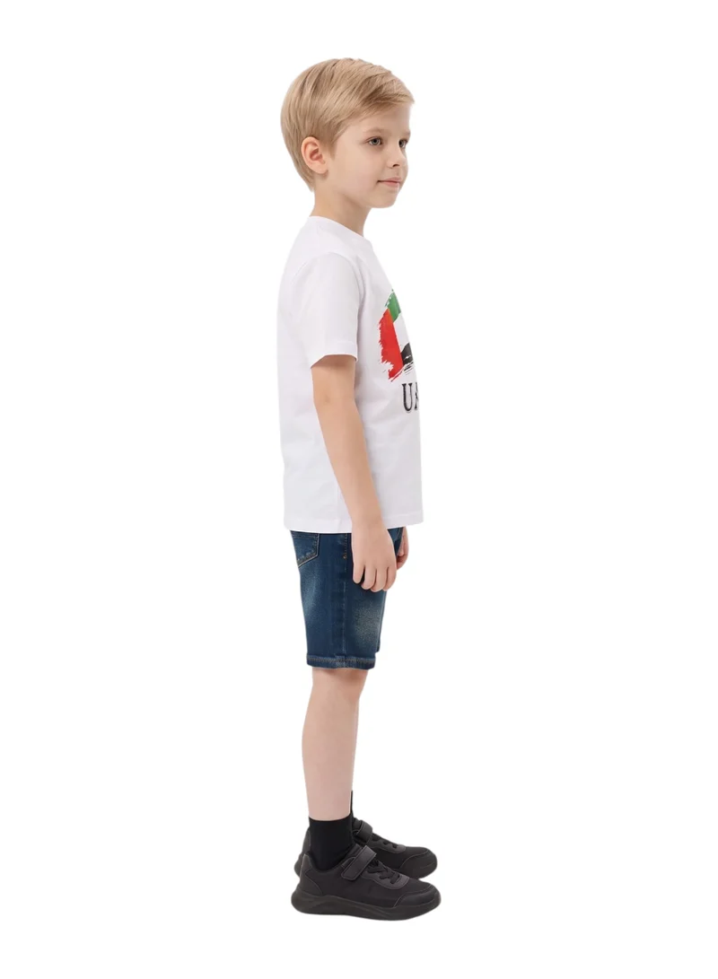 Bidani Boys' UAE Distressed Flag Graphic T-Shirt
