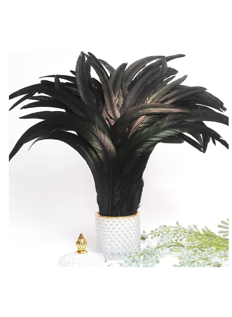 Barakah 20PCS Black Rooster Coque Tail Feathers Bulk Natural for Crafting Wedding Fly Tying Party Performances DIY Decoration - Image 1