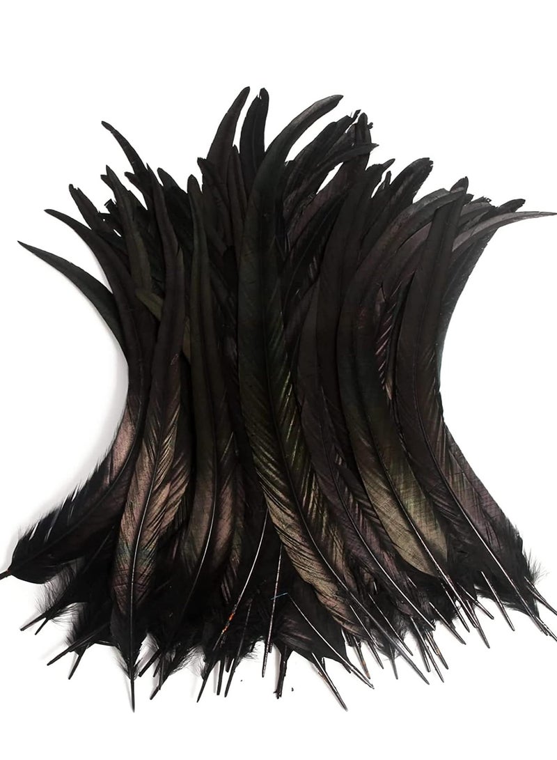 Barakah 20PCS Black Rooster Coque Tail Feathers Bulk Natural for Crafting Wedding Fly Tying Party Performances DIY Decoration - Image 2