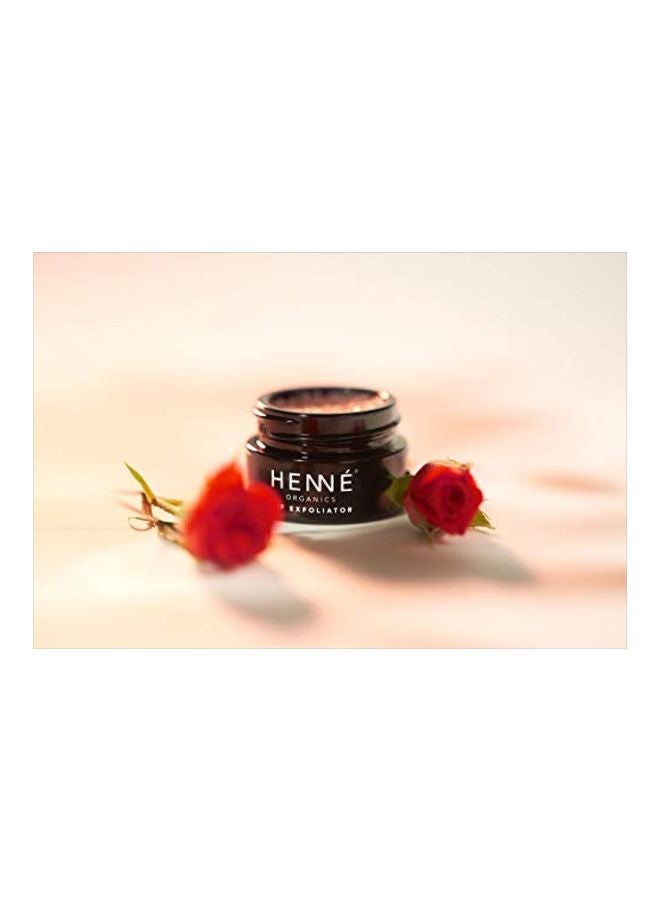 Henne Organics Lip Exfoliator - Image 5