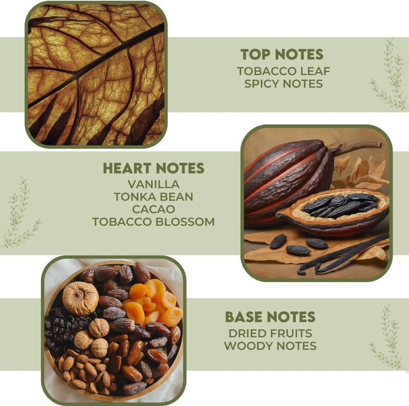 Tobacco Vanilla Fragrance Oil 30ml Perfect for DIY Candles, Aromatherapy & Diffusers (IFRA Certifed) - Image 2