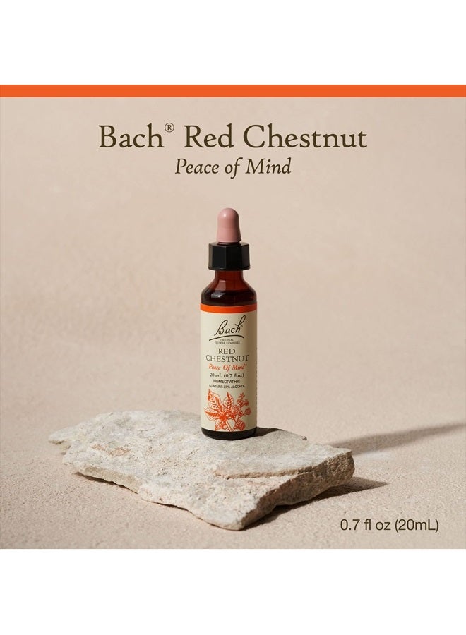 Bach Original Flower Remedies, Red Chestnut for Peace of Mind, Natural Homeopathic Flower Essence, Holistic Wellness and Stress Relief, Vegan, 20mL Dropper  - Image 2