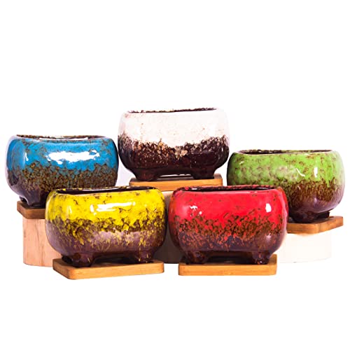 ARTKETTY Succulent Pots - 4.7 Inch Ceramic Succulent Planters Pots with Drainage Set of 5, Rectangular Bonsai Pots with Bamboo Trays Small Pots for Indoor Cactus Flower Plants for Home Office Decor - Image 2