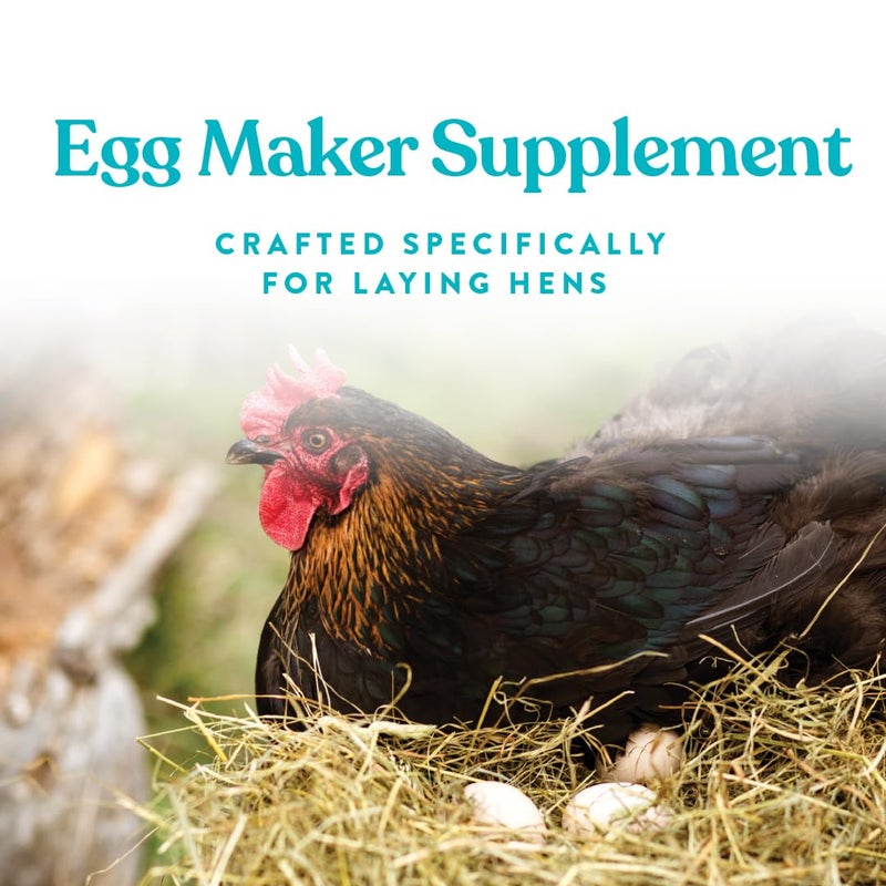 Manna Pro Chicken Feed Supplement | Omega Egg Maker Chicken Supplies | Chicken Food Supplement for Laying Hens | 5 Pounds - Image 3