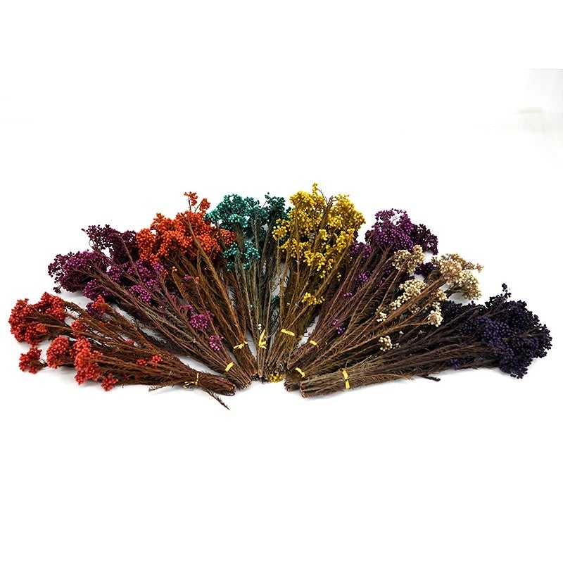 Bluejw Natural Dried Rice Flowers for Christmas Wedding Party Decor - Everlasting Home Decorations - Image 2