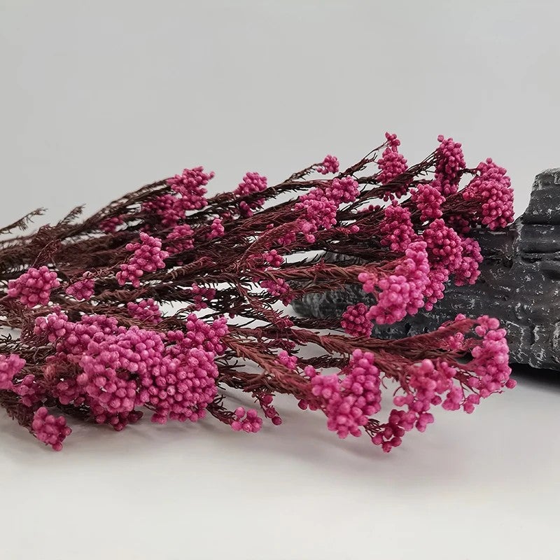 Bluejw Natural Dried Rice Flowers for Christmas Wedding Party Decor - Everlasting Home Decorations - Image 1