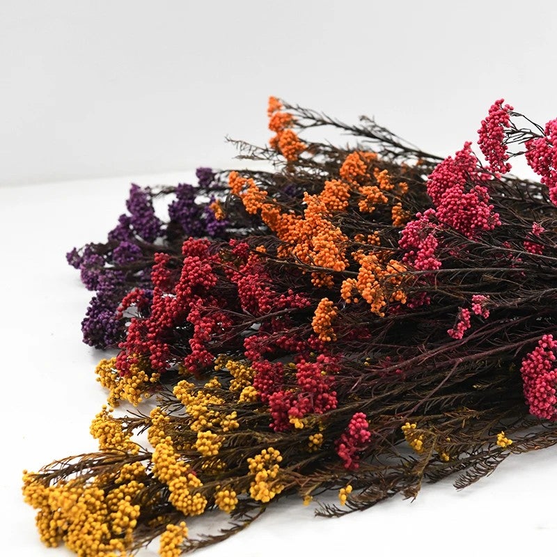 Bluejw Natural Dried Rice Flowers for Christmas Wedding Party Decor - Everlasting Home Decorations - Image 3