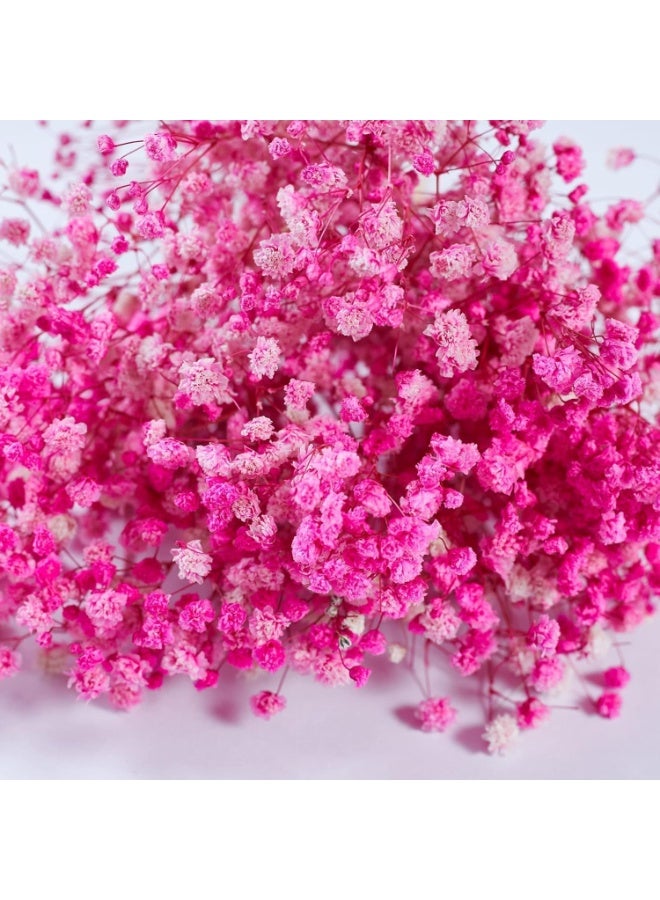 Pink Dried Baby's Breath Gypsophila Flowers, 10 Bunches, 15cm, Real Preserved for Decor - Image 4