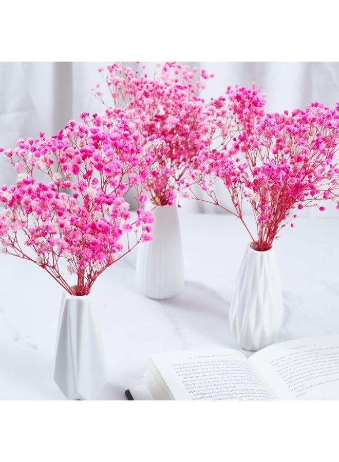 Pink Dried Baby's Breath Gypsophila Flowers, 10 Bunches, 15cm, Real Preserved for Decor - Image 2
