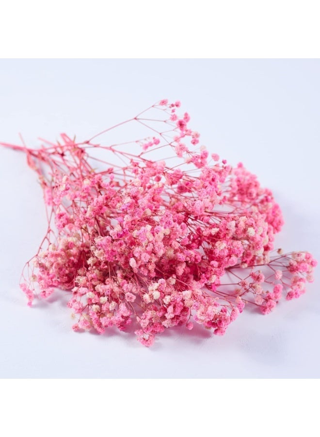 Pink Dried Baby's Breath Gypsophila Flowers, 10 Bunches, 15cm, Real Preserved for Decor - Image 1